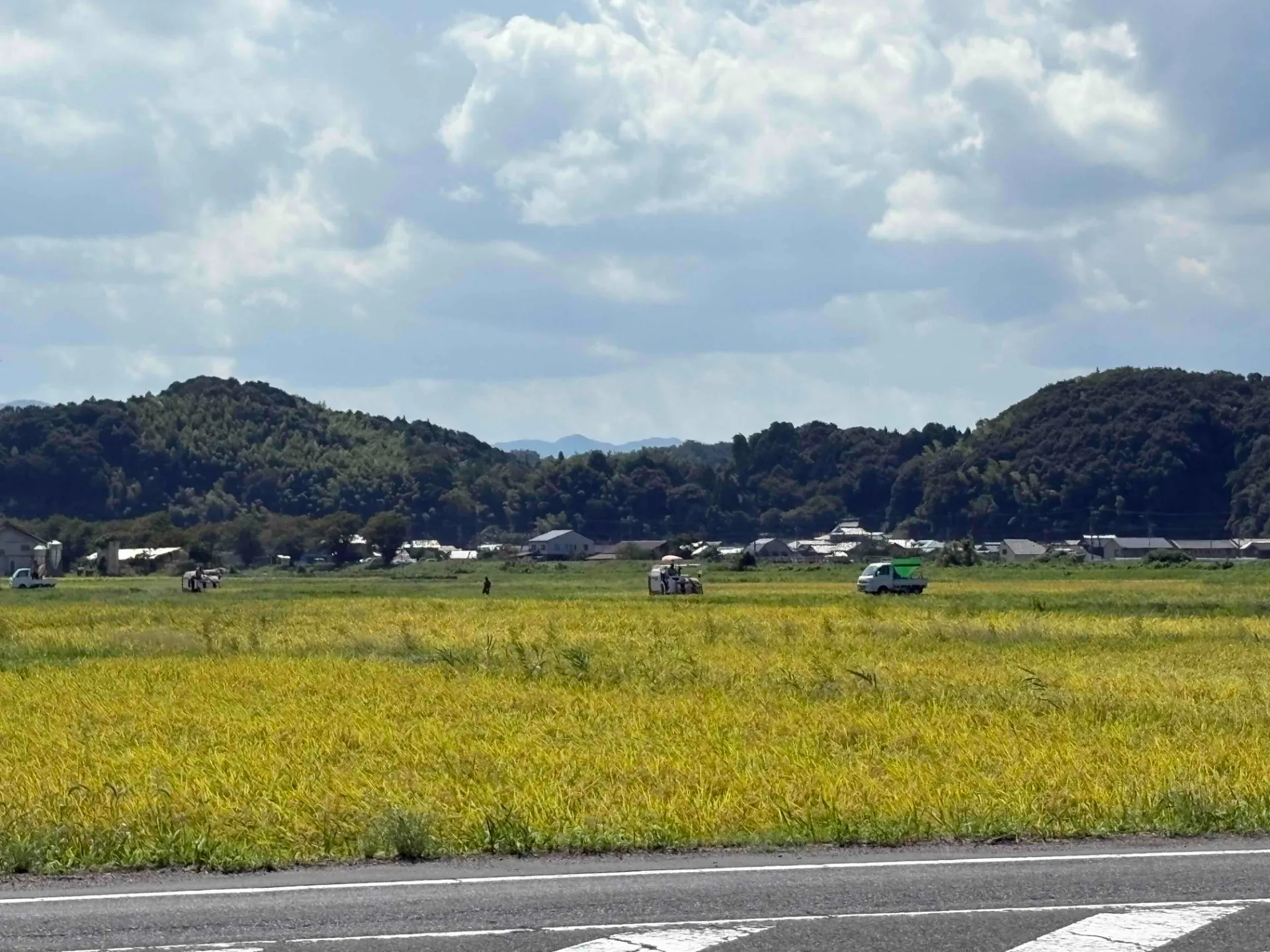 新米稲刈り~😊